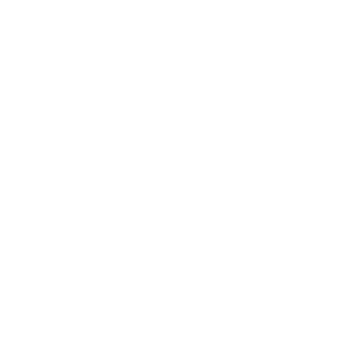 Smokin’ Bones spatula